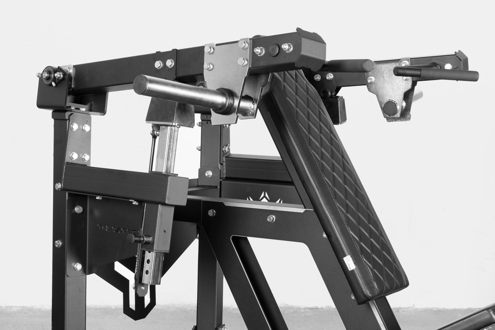 The daring duke - shoulder press machine - Image 4
