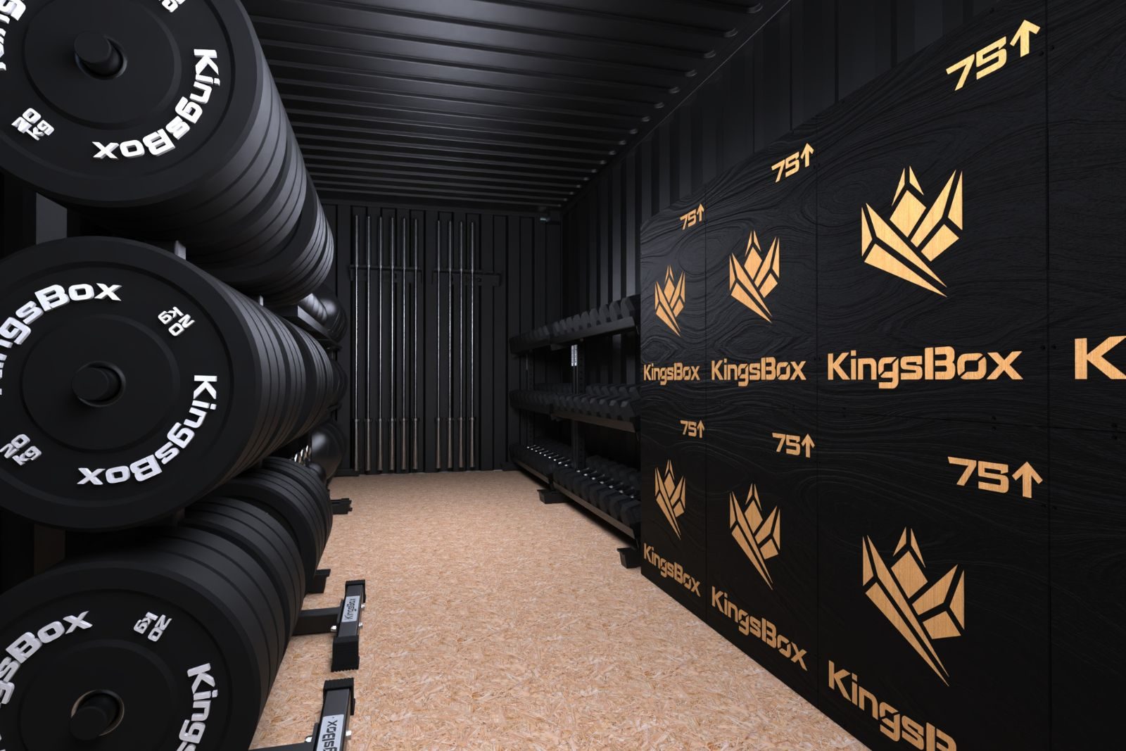 Kingsbox gym in storage container for 12 persons - Image 3