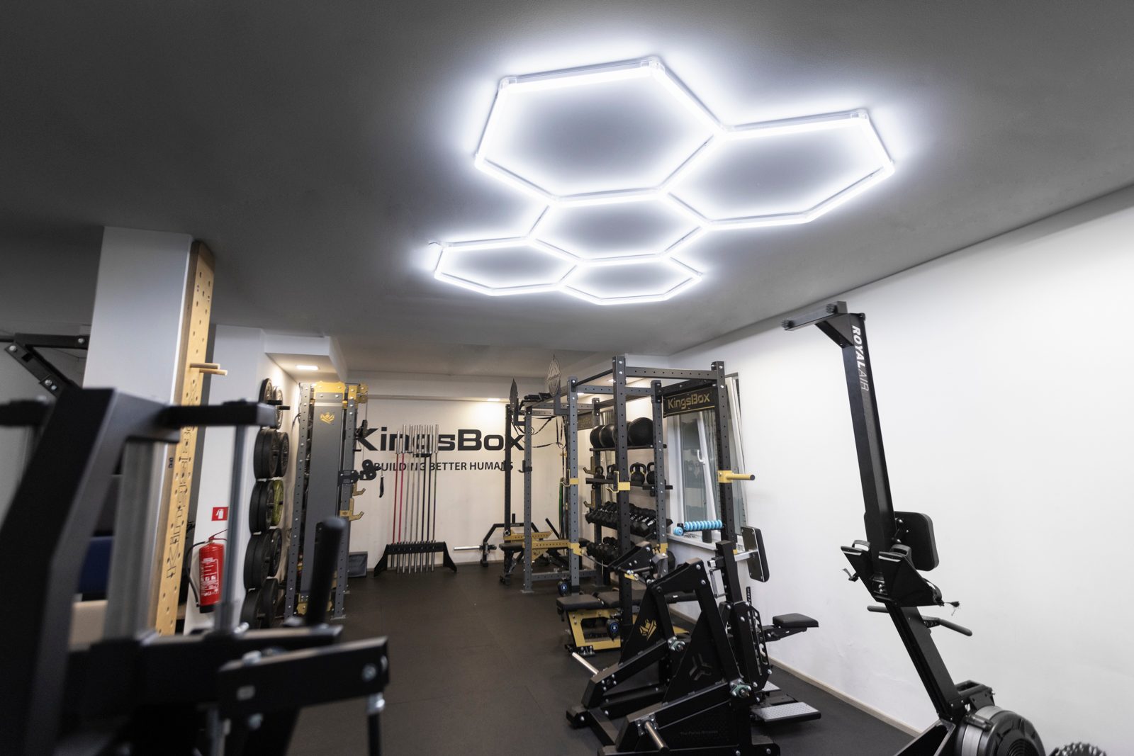 Kingsbox gym led lighting - Slika 3