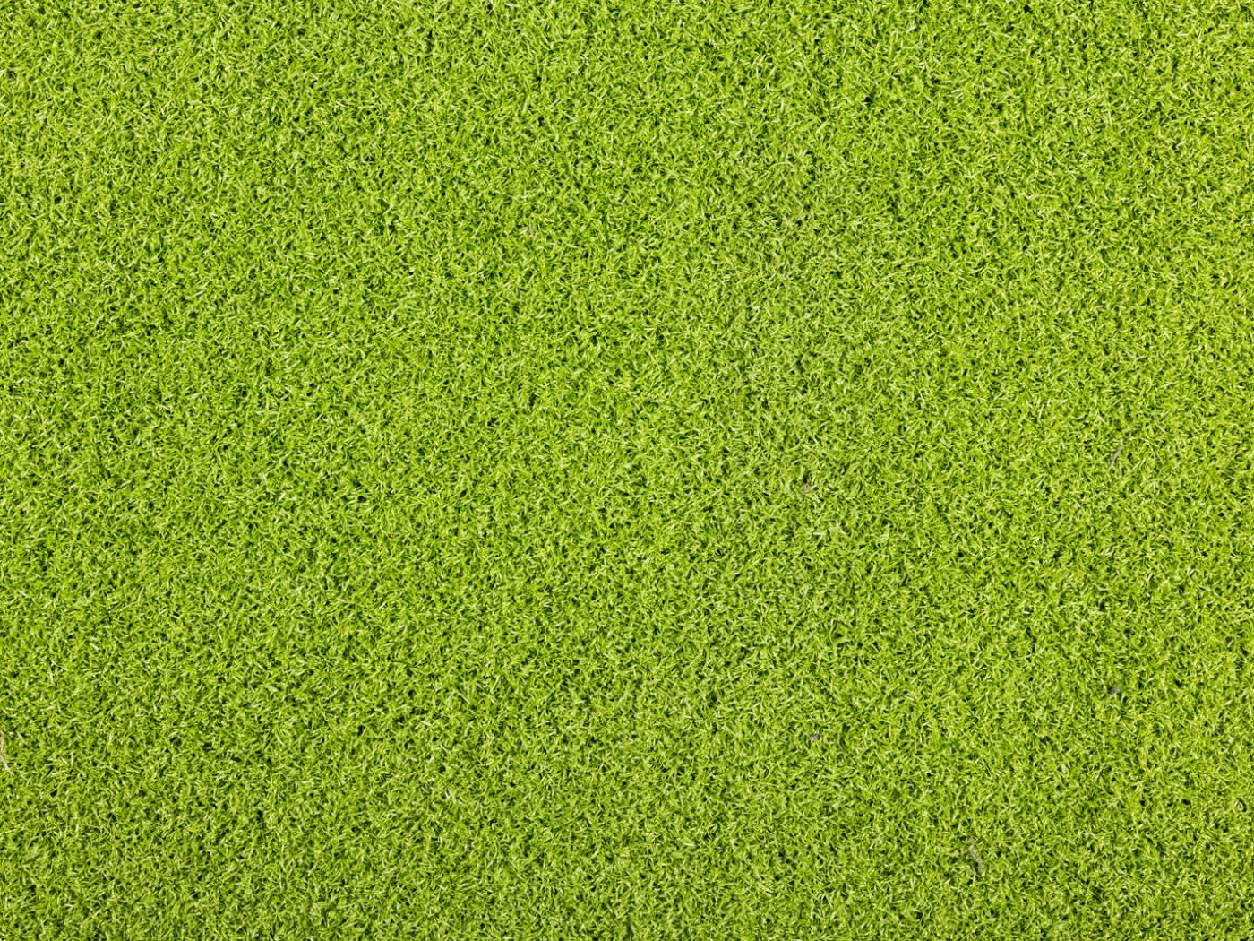 Kingsbox basic grass flooring